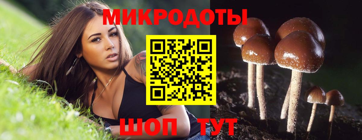 Славянск-на-Кубани  Псилоцибиновые грибы Cubensis  Вход с VPN 